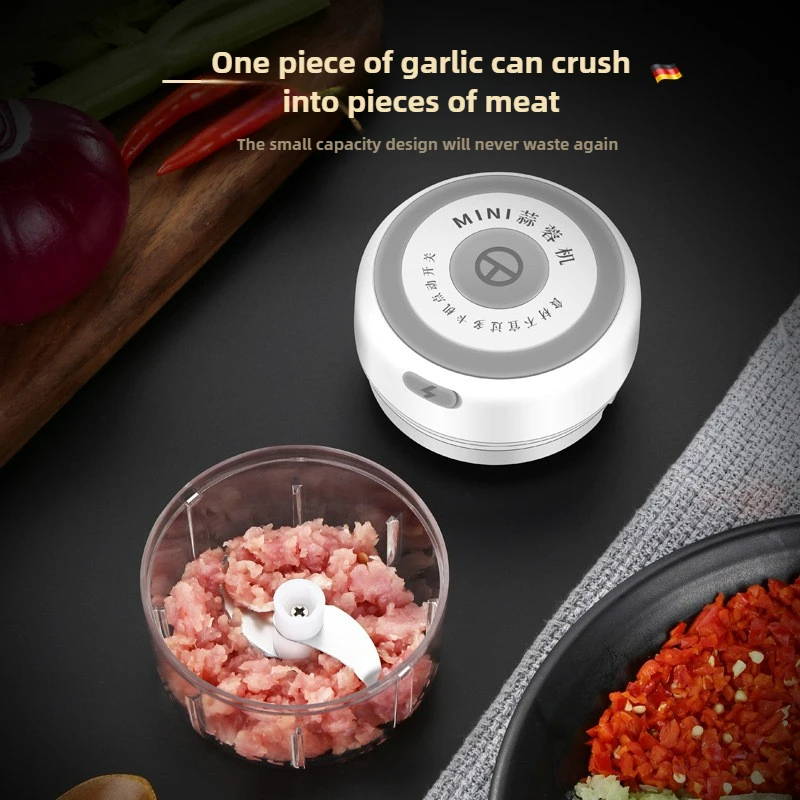 Electric Mini Garlic Chopper 1 - Baby Food Chopper recension och pris